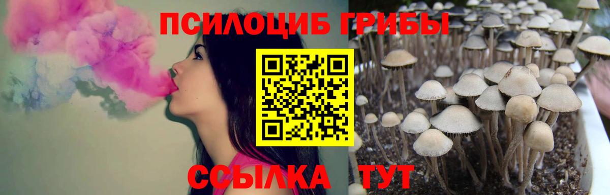 Псилоцибиновые грибы ЛСД Чебоксары